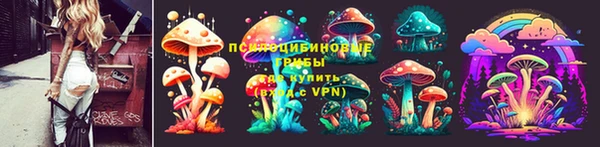 jwh Гусиноозёрск