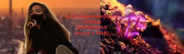 jwh Гусиноозёрск