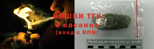 ГАЛЛЮЦИНОГЕННЫЕ ГРИБЫ Гусев