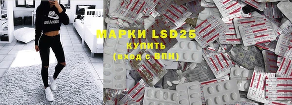 ГАЛЛЮЦИНОГЕННЫЕ ГРИБЫ Гусев