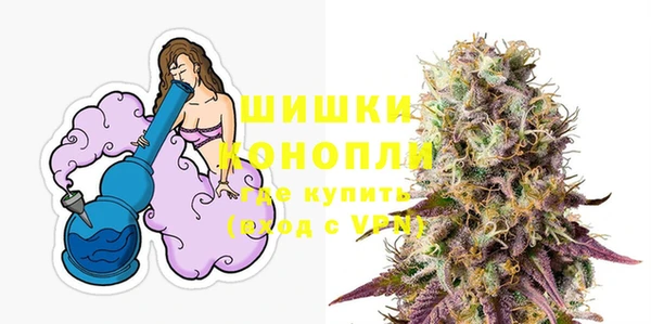 ГАЛЛЮЦИНОГЕННЫЕ ГРИБЫ Гусев
