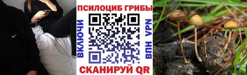 Псилоцибиновые грибы ЛСД  Гусиноозёрск 