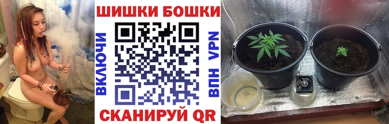 Бошки Шишки Ganja Гусиноозёрск